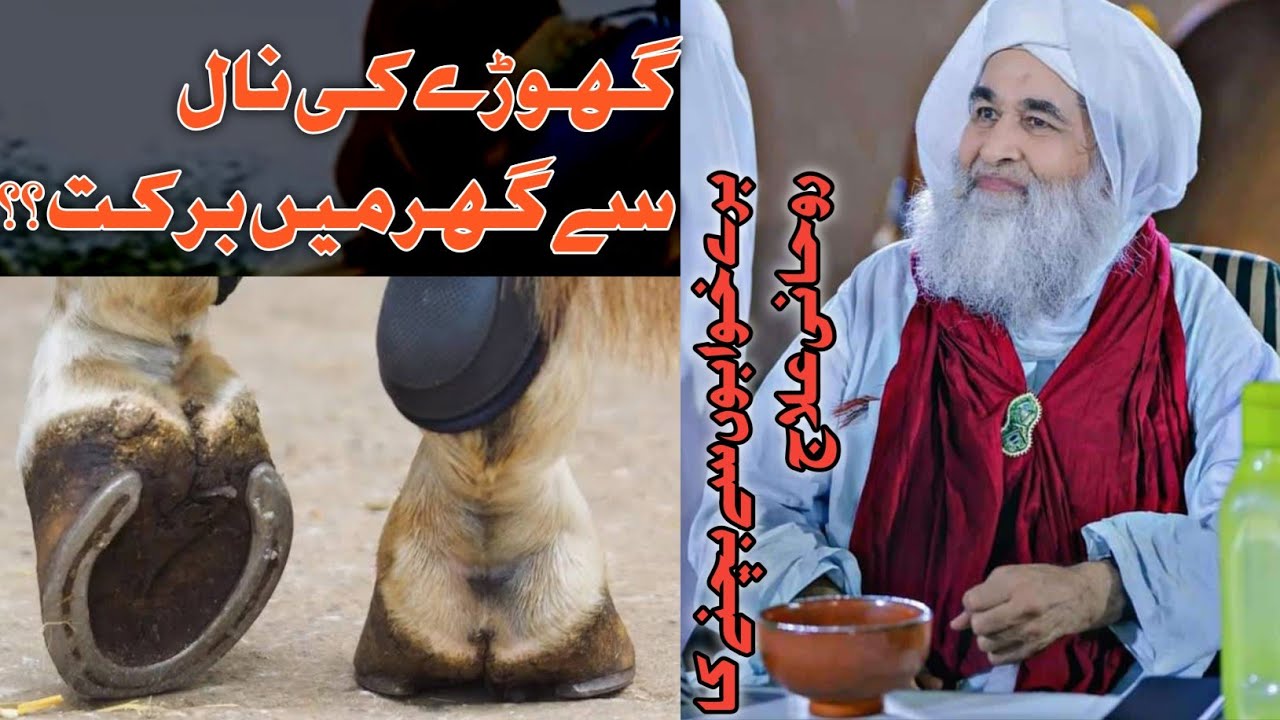 Ghode Ki Naal se ghr  me kya hota he ? | Madani muzakra 2023 |  #horse #viral #ilyasqadri #dua