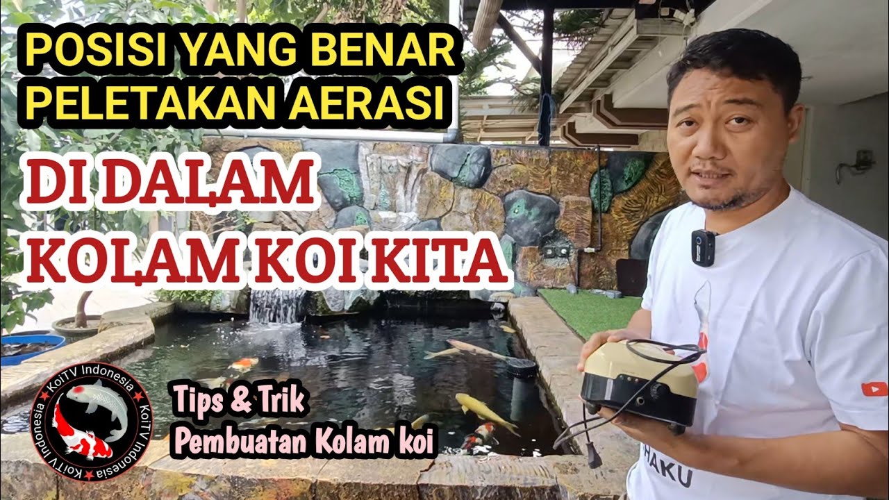 POSISI YANG BENAR PELETAKAN AERASI DI DALAM KOLAM KOI