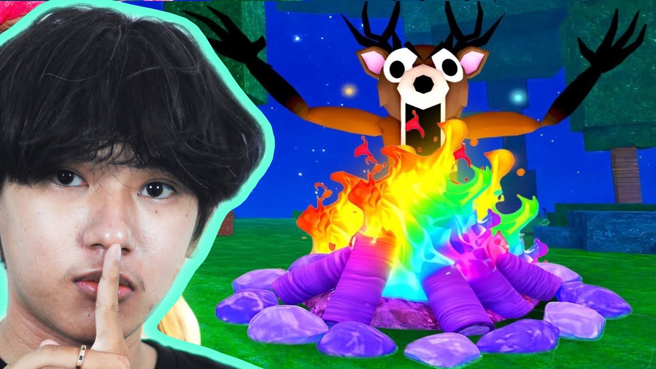 ខ្ញុំបានដូរពណ៌ Camp Fire នៅក្នុង 99 Night in the Forest