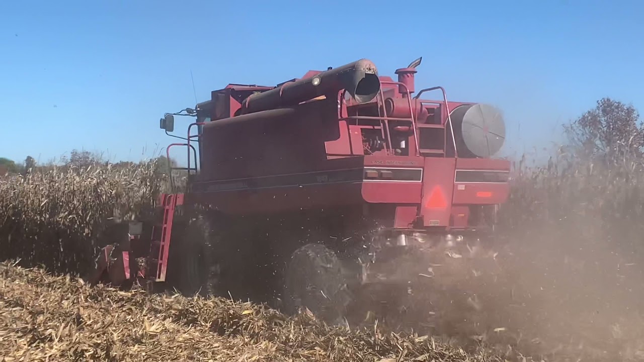 Finishing Shelling Corn 2021