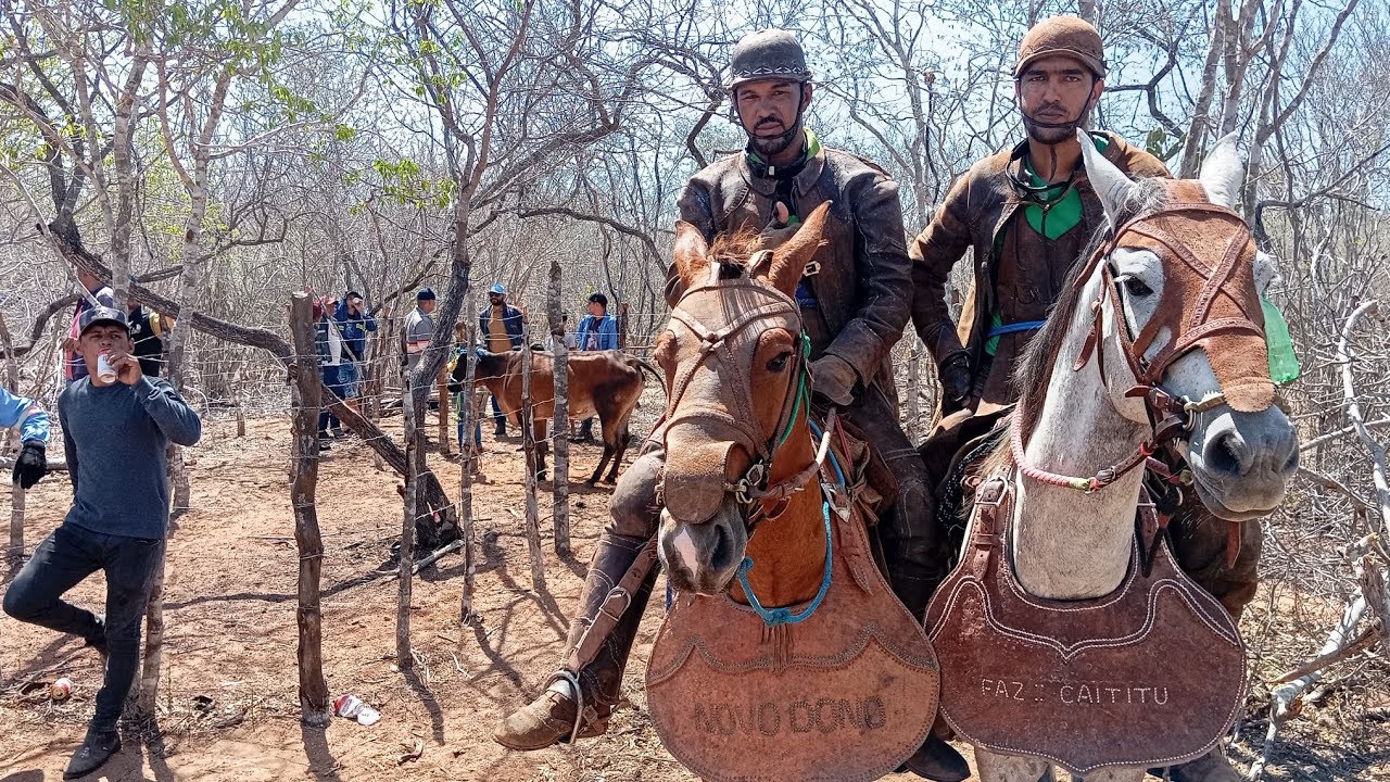 (DRONE) 17° CORRIDA DA VACA LINDINHA FAZ POÇO NOVO PAULO AFONSO-BA 