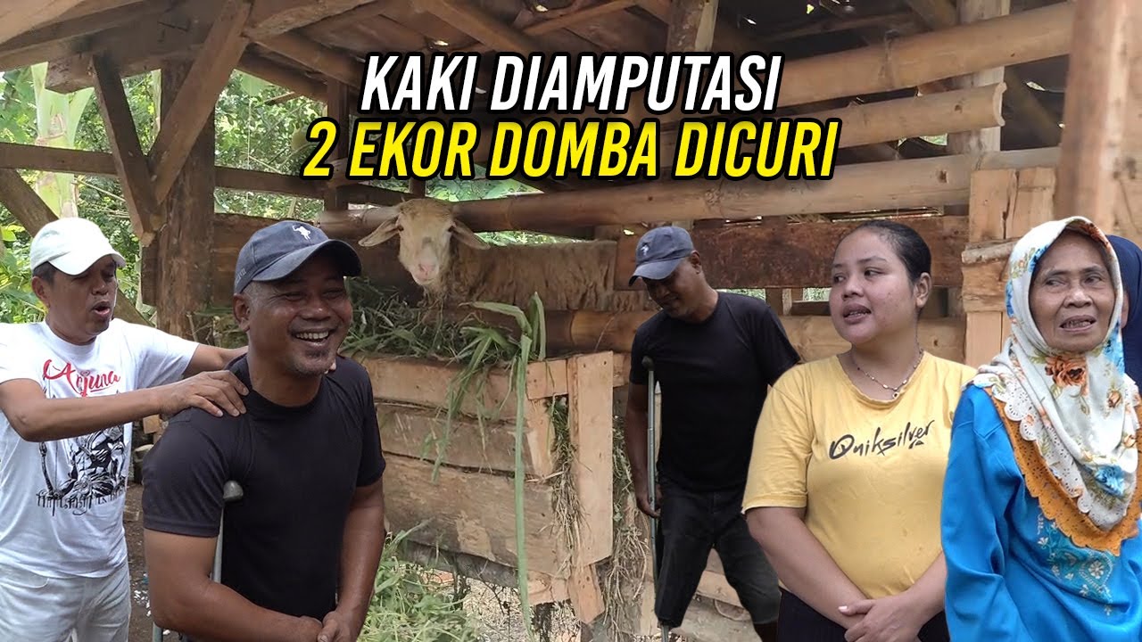 KAKI D1AMPUTASI | 2 EKOR DOMBA DICURI | KISAH UGAY KAKAK RINA YANG BERTEMU KDM DI MALAM TAKBIRAN