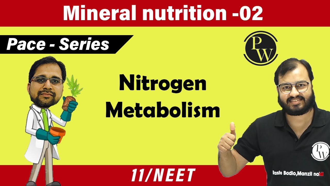 Mineral Nutrition - 02 | Nitrogen Metabolism | Class 11 | Pace Series