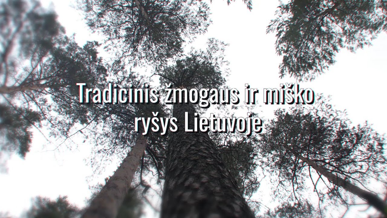 Tradicinis žmogaus ir miško ryšys Lietuvoje | Lietuvos kodas