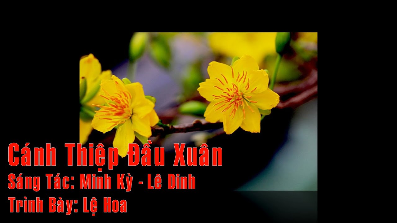 Lệ Hoa - Cánh Thiệp Đầu Xuân | ST. Minh Kỳ & Lê Dinh