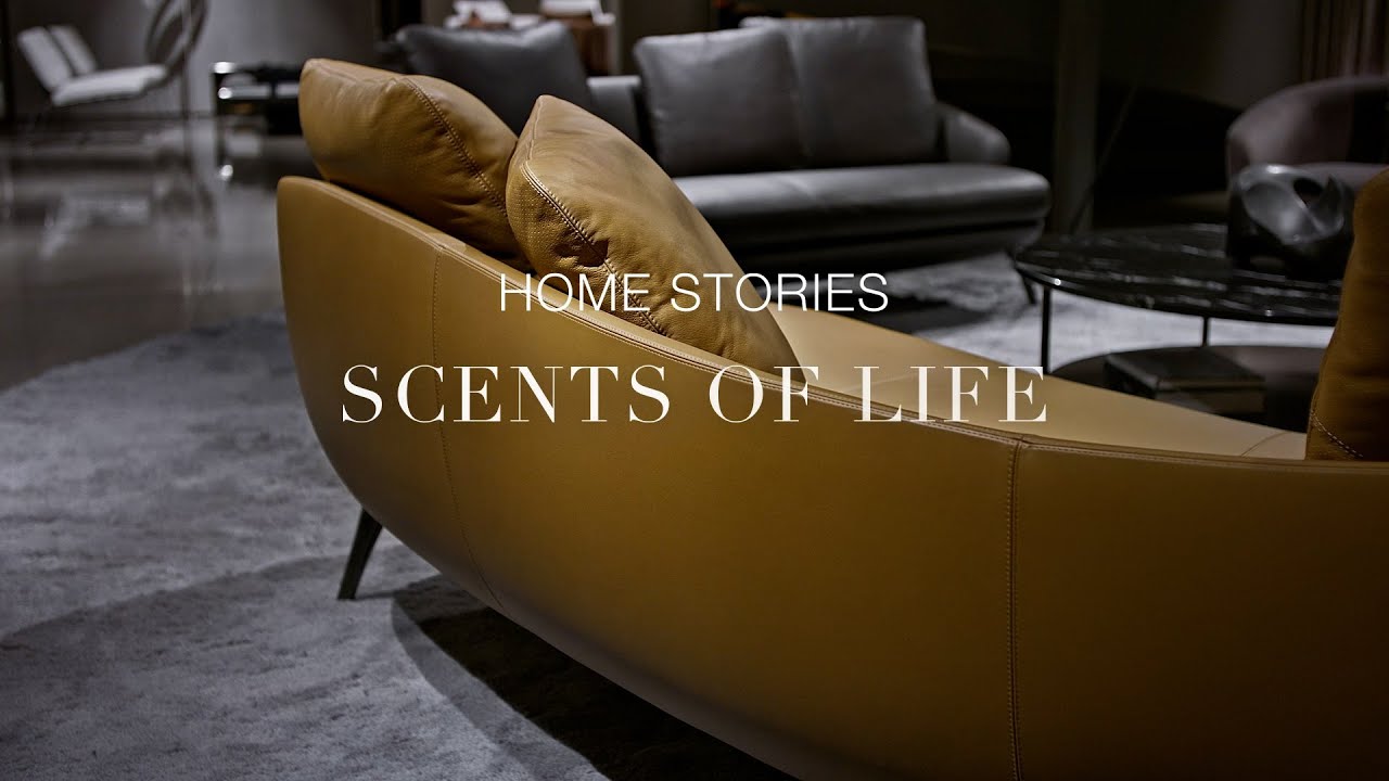 Minotti - Home Stories | Scents Of Life
