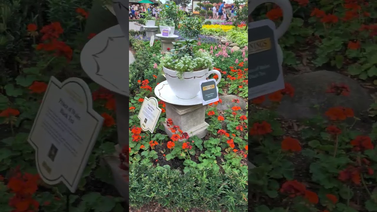 Twinings English Tea Garden Tour | EPCOT Flower & Garden Festival 2026