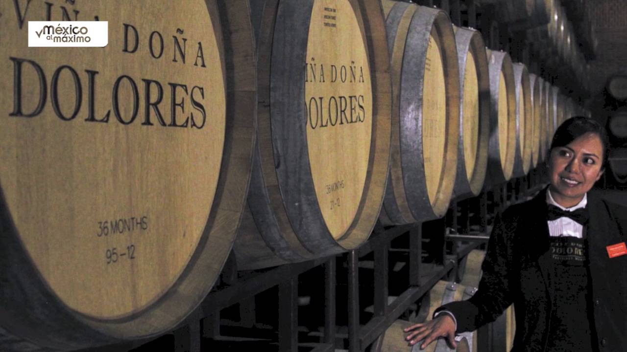 Una cata de vinos con la sommelier Carolina Corona