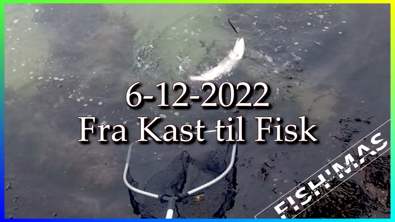 Hav&oslash;rred / Sea Trout -  Vinter Fiskeri 6 December 2022