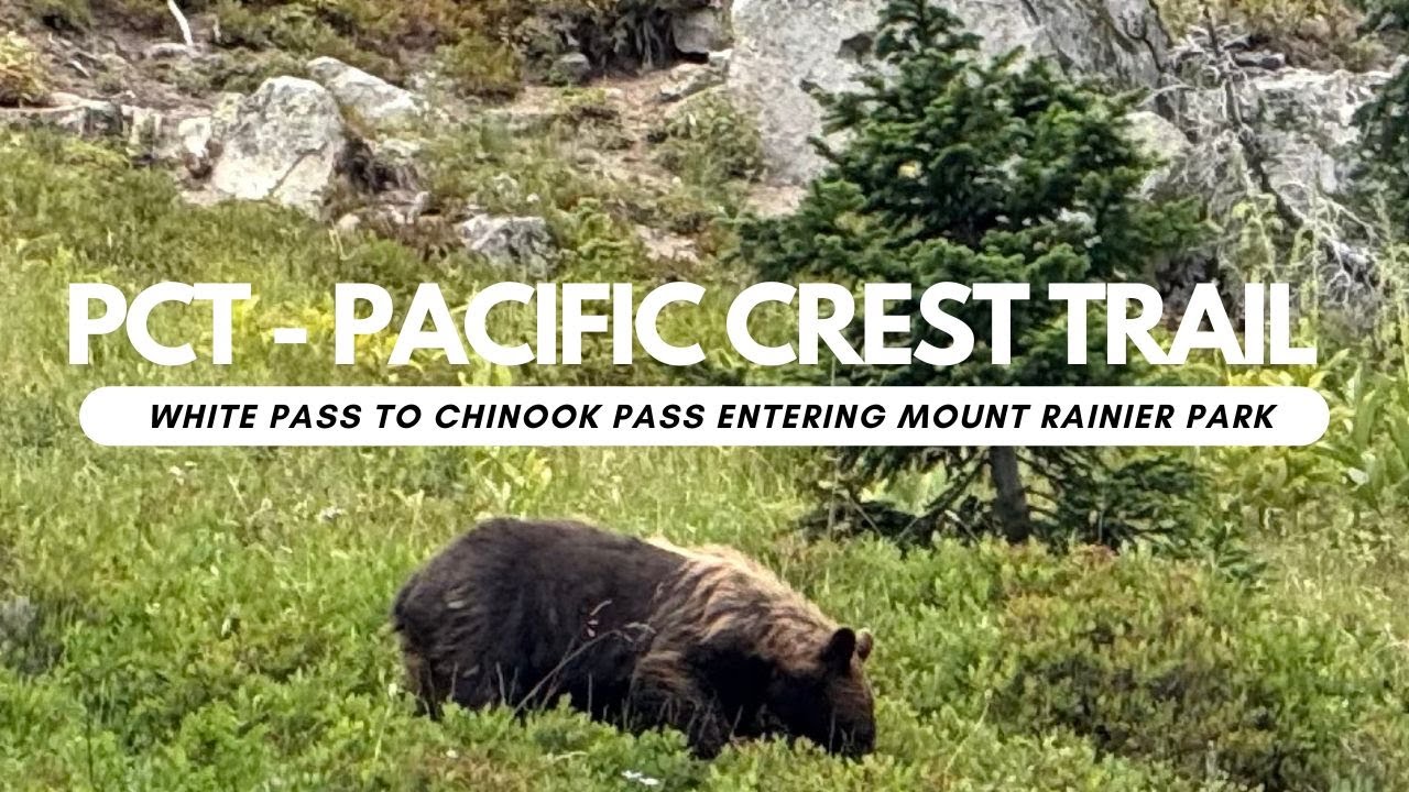 Hiking the Pacific Crest Trail 