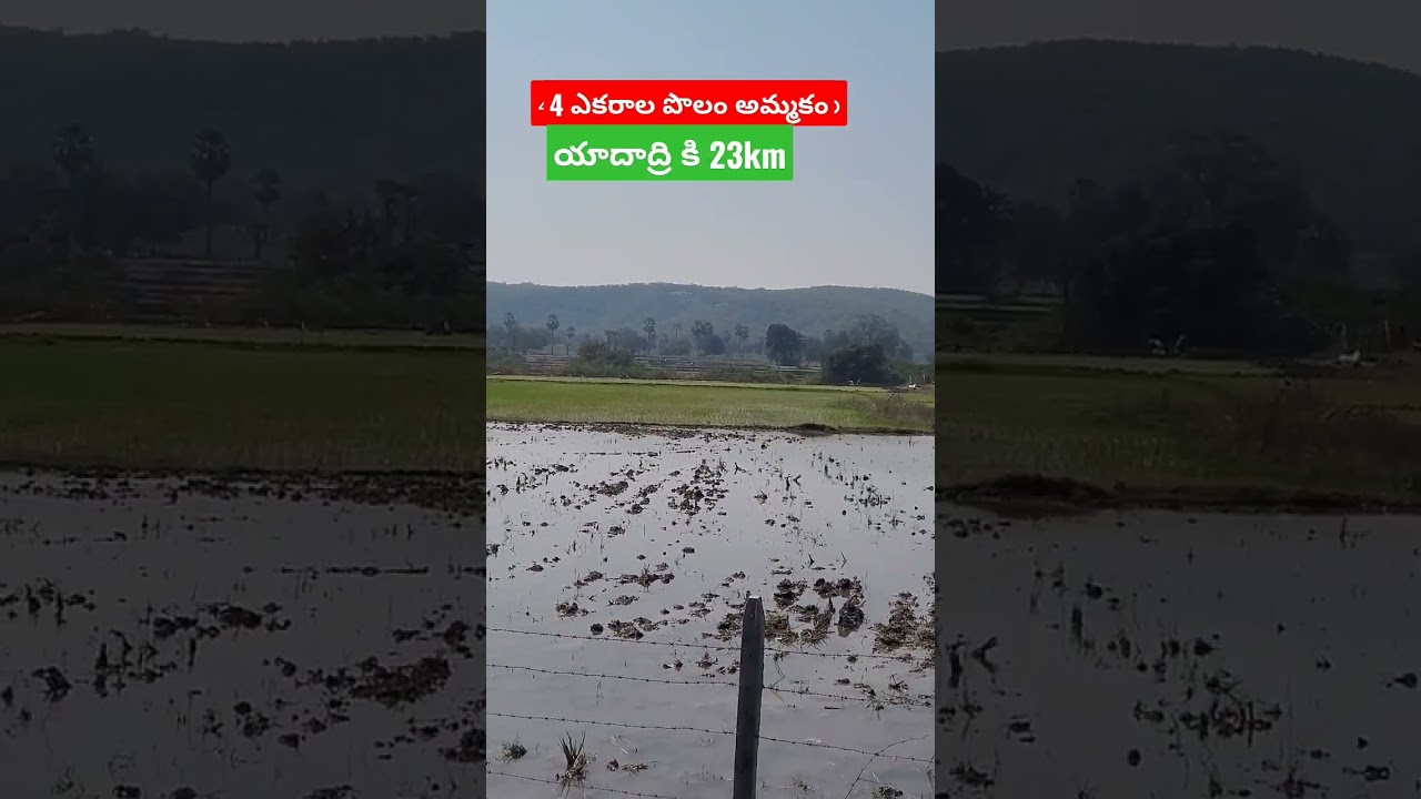 4 Acres For sale,at Yadadri Bhongir dist,rajapet mandal.  8555814155