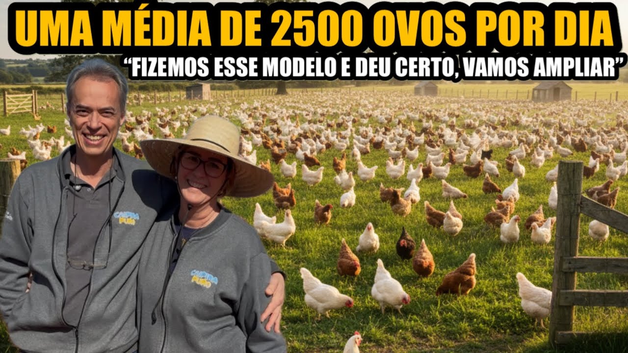 COM POUCA MÃO DE OBRA E UM SERVIÇO PRAZEROSO 