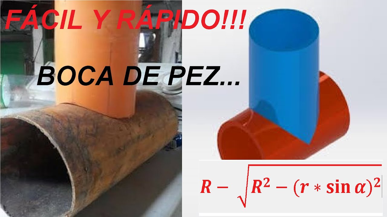 BOCA DE PESCADO CON FORMULA