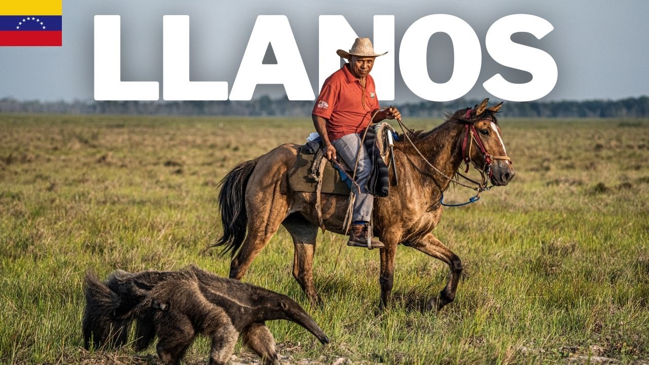 Los Llanos Venezolanos: El safari salvaje de Sudam&eacute;rica