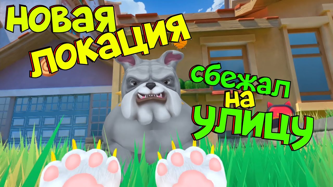 КОТ СБЕЖАЛ НА УЛИЦУ -  НОВОЕ ОБНОВЛЕНИЕ - I AM CAT