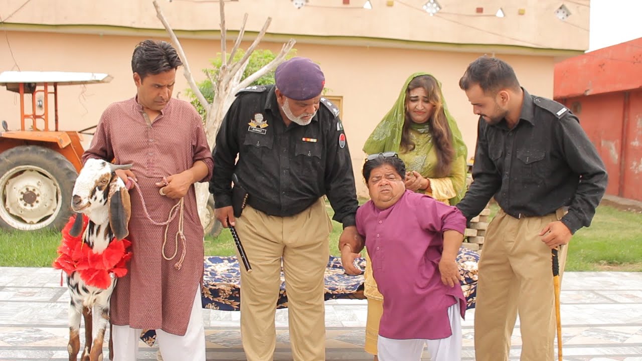 SHO DURMAT KA BAKRA CHORI / Pothwari Drama 2023 / Shahzada Ghaffar Funny / Gujar khan / Pothwar Plus
