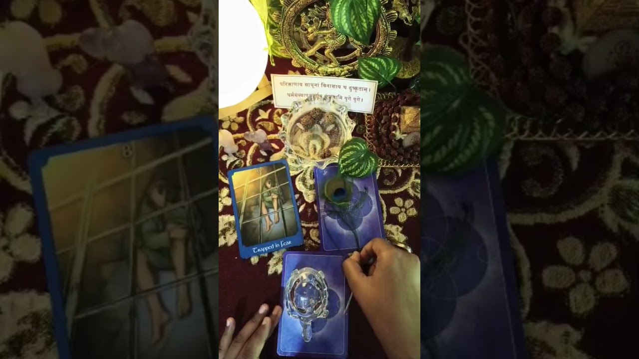 No contact situation? What they want to tell you #currentfeelingtarot
