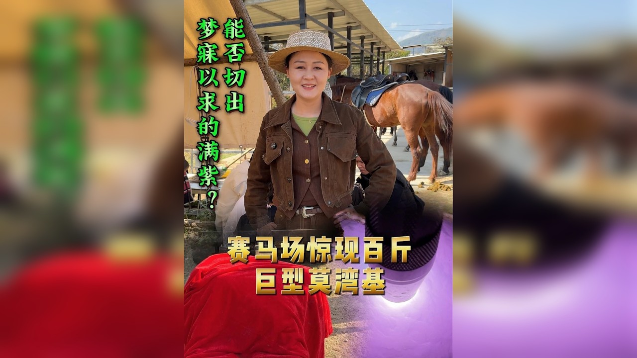 赛马场惊现百斤巨型翡翠，能否切出梦寐以求的满紫