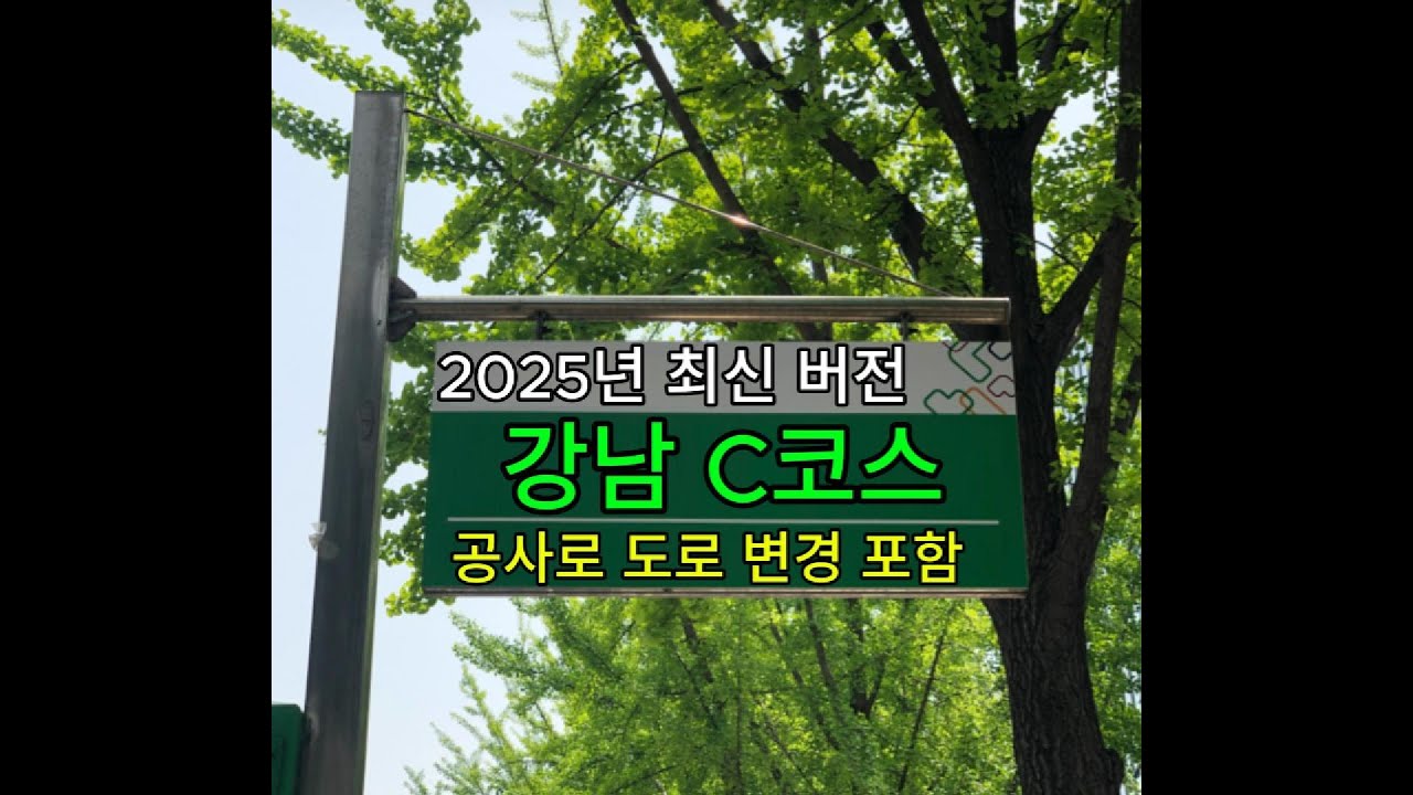 강남시험장 도로주행 C코스