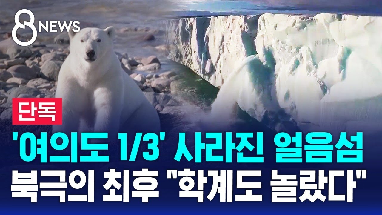 [단독] '여의도 1/3' 사라진 얼음섬&hellip;북극의 최후 