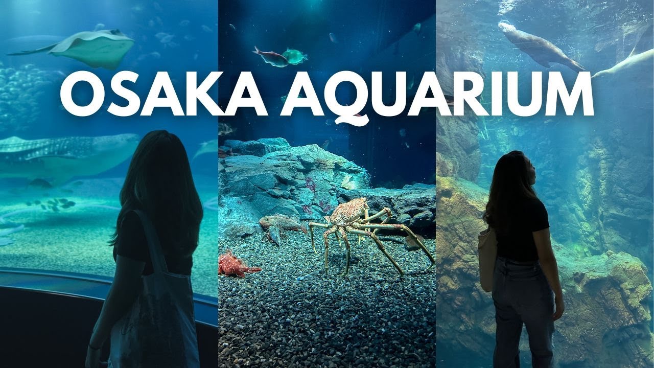 OSAKA AQUARIUM KAIYUKAN: Japan Travel Guide | Things to do in Osaka 🇯🇵