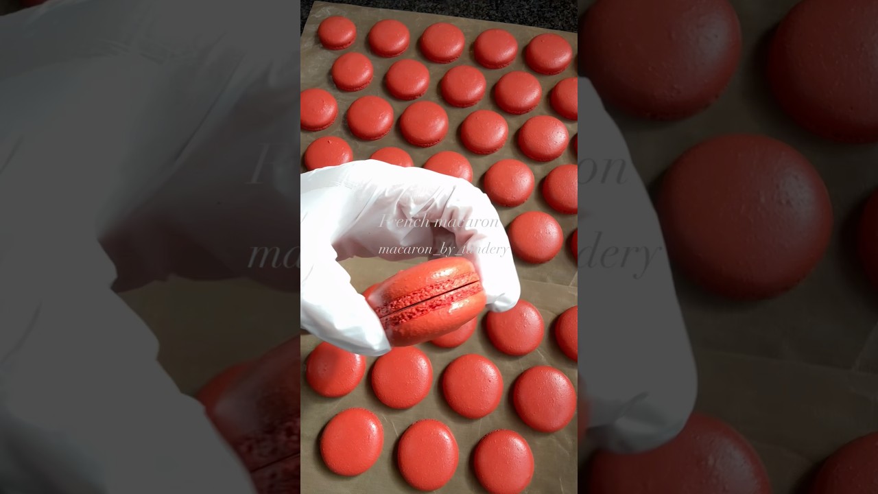 Red French macaron ❤️✨Crisp shell, soft center — pure perfection.✨