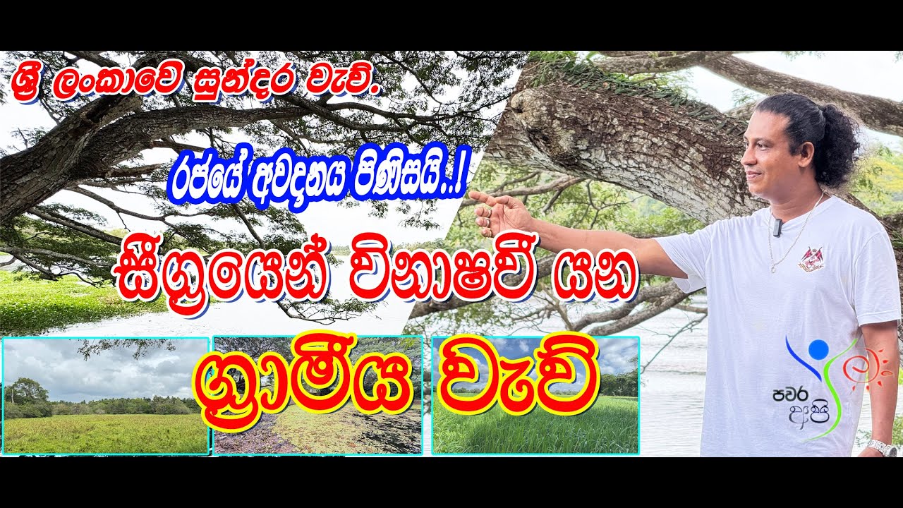 For the attention of the governmentRural tanks are being destroyed#රජයේ අවධානය පිණිසයි ව්නාශ වන වැව්