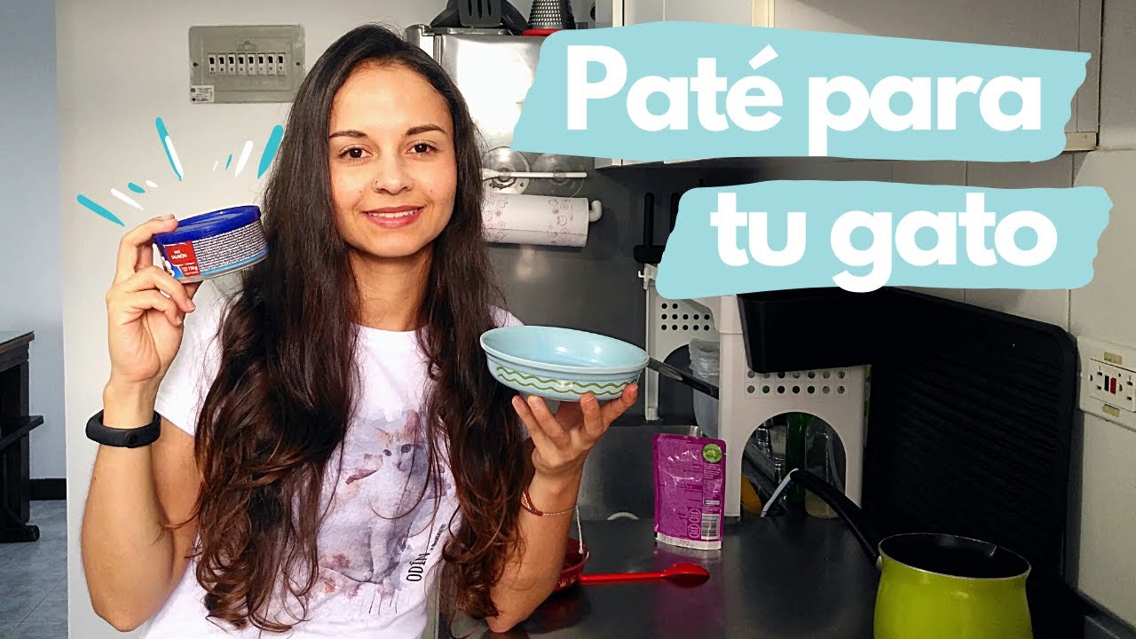 Paté comercial para tu gato ¿Cómo afrecerlo de manera atractiva?