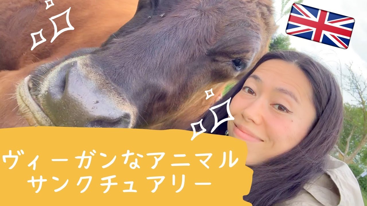ヴィーガンの【アニマルサンクチュアリー】🐷FRIEND animal sanctuary 25th anniversary!