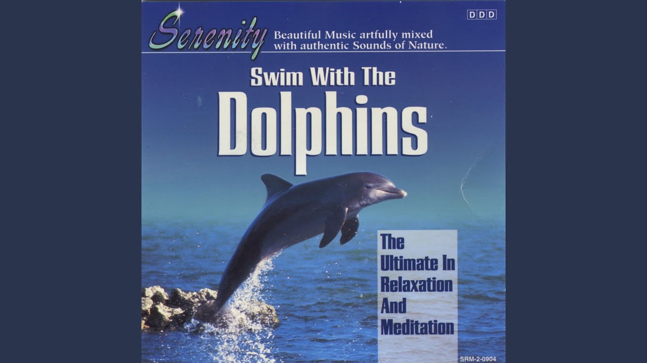 Swim with the Dolphins