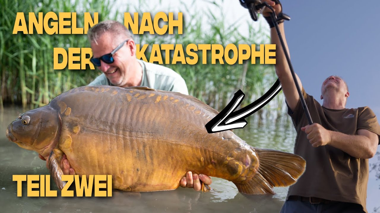 Karpfenangeln nach der Katastrophe! | Teil 2|  🎣👀  Mit Frank Schmidt in Kroatien - Anaconda TV