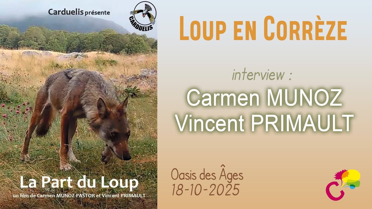 La part du loup – Entretien avec Carmen et Vincent, réalisateurs et naturalistes