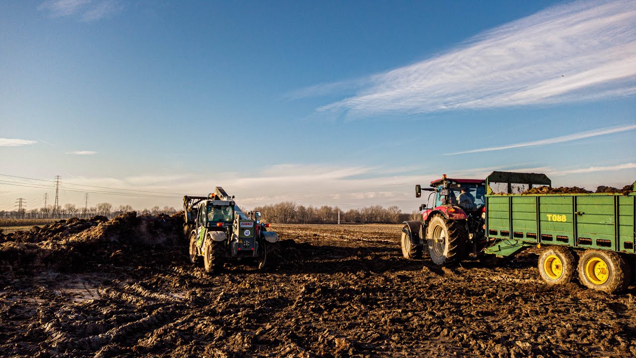 Trágyaszórás 2020 Case IH Puma Claas ares 657 atz