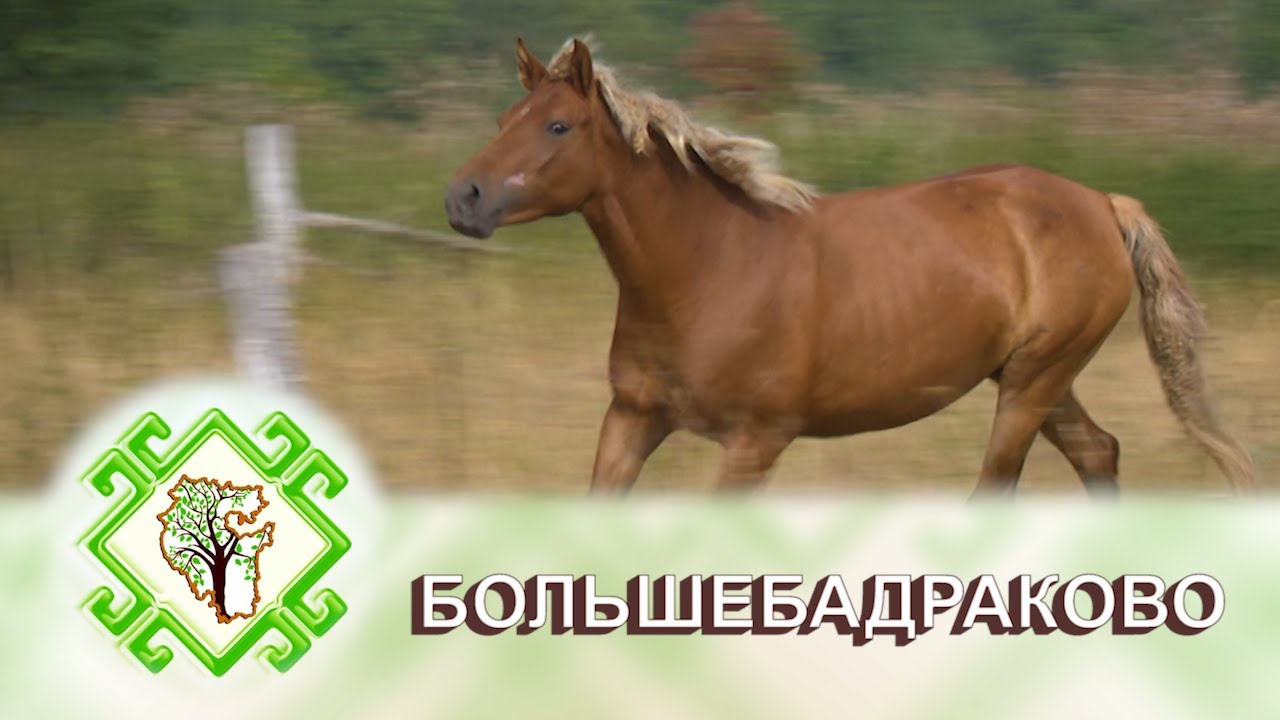 ТОРМОШ. Деревня Большебадраково Бураевский район