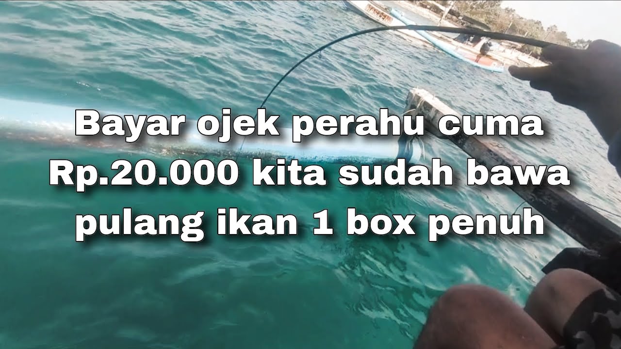 Mancing diPapuma Jember bayar Rp.20.000 sudah bawa pulang ikan 1 box