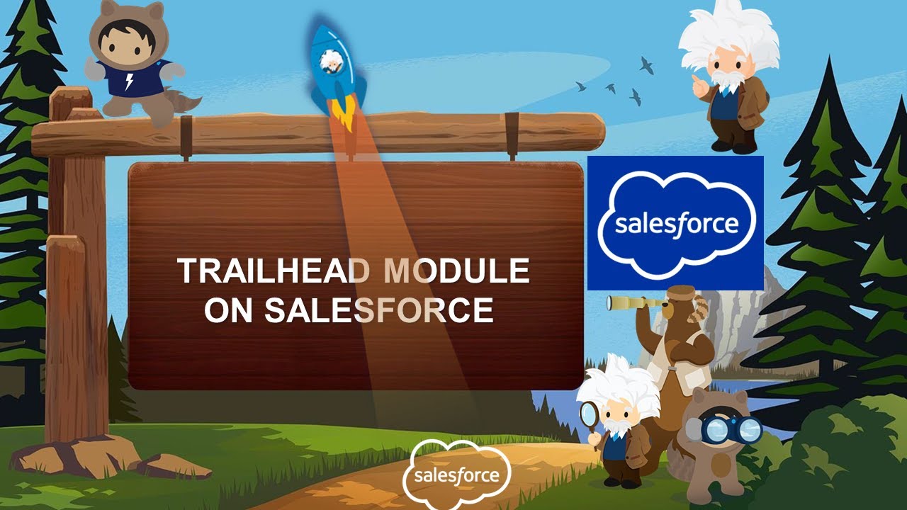 Data Management Quick Look || Salesforce Trailhead || Quiz Module
