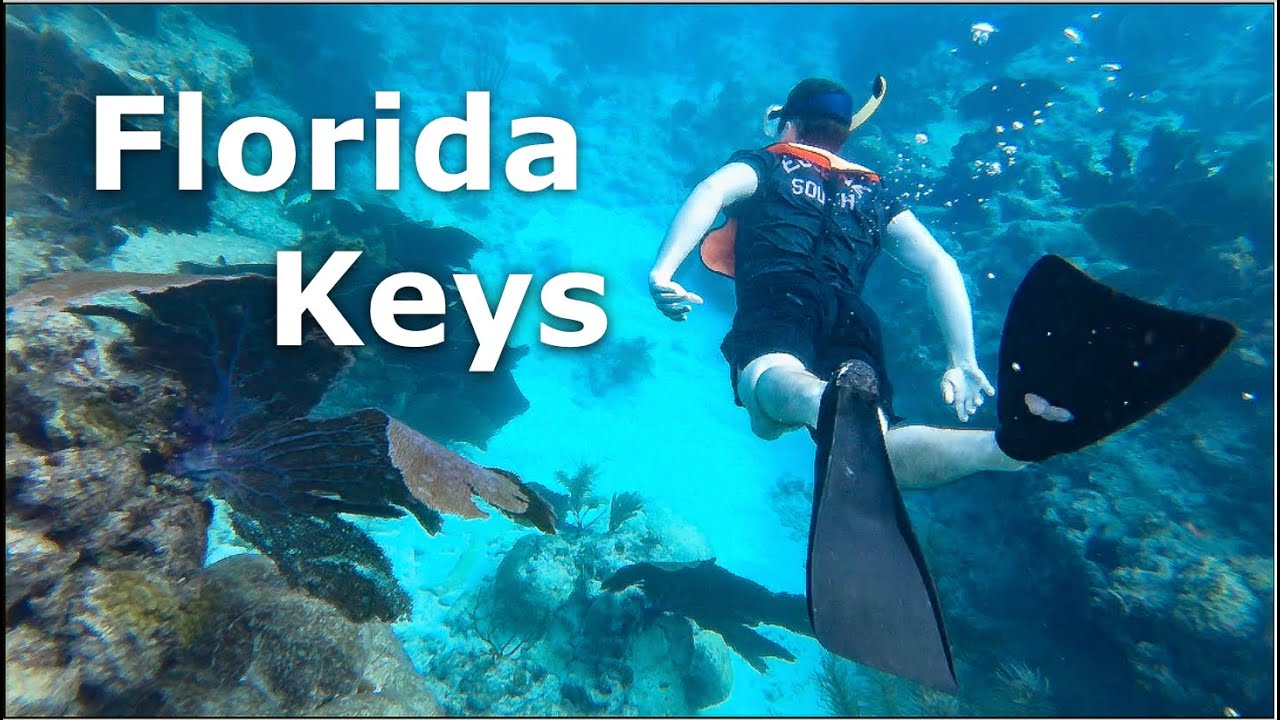 Snorkeling in the Florida Keys | John Pennekamp Coral Reef State Park