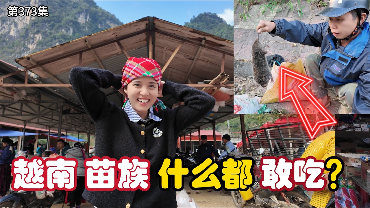 第373集，越南苗族 什么都敢吃？边境城镇 消费高吗？