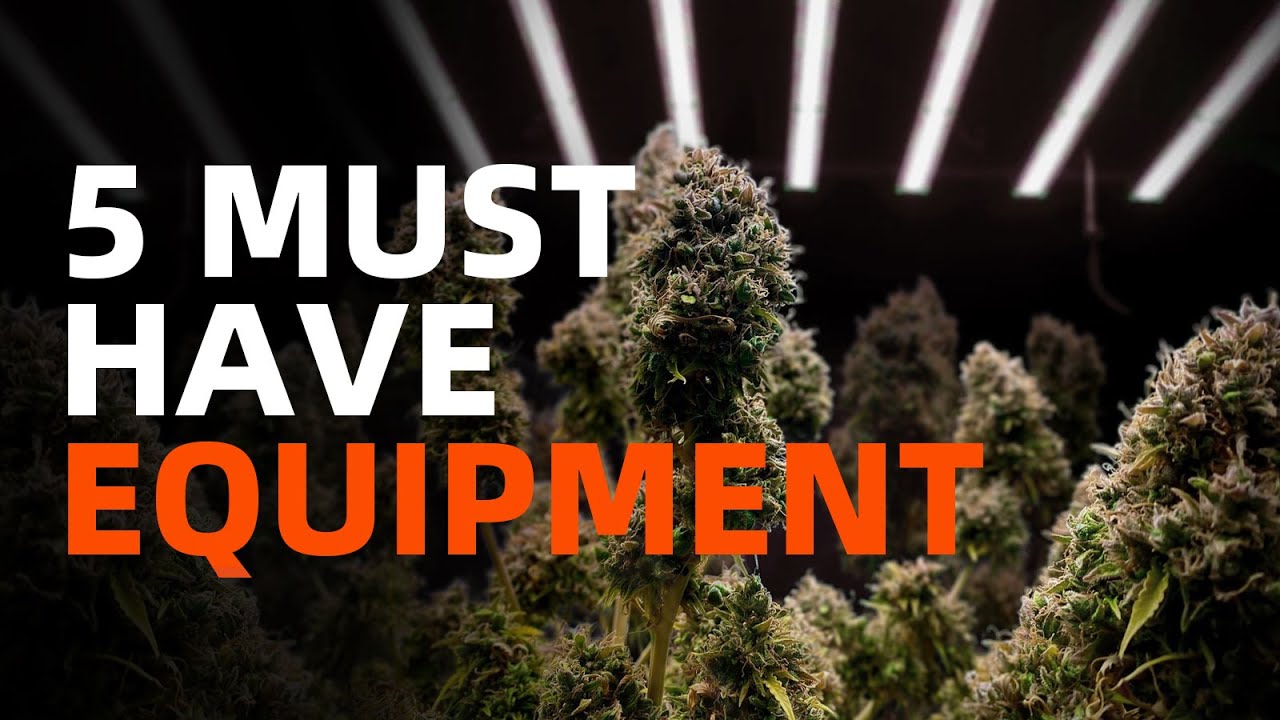 A Beginner's Guide: 5 Must-Have Equipment for Growing | Spider Farmer