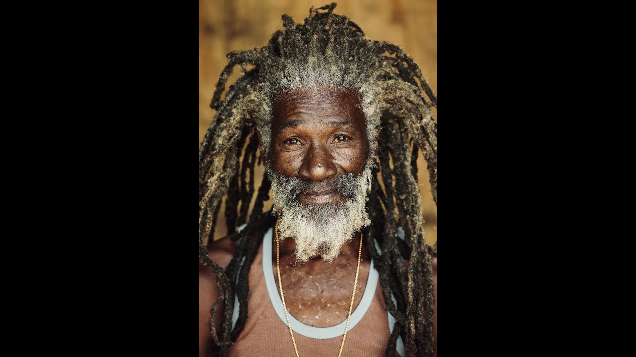 REGGAE VIDEOMIX- PRESSURE- A Lion is a Lion| Beautifull Lions and Lionesses #rastafari #reggae