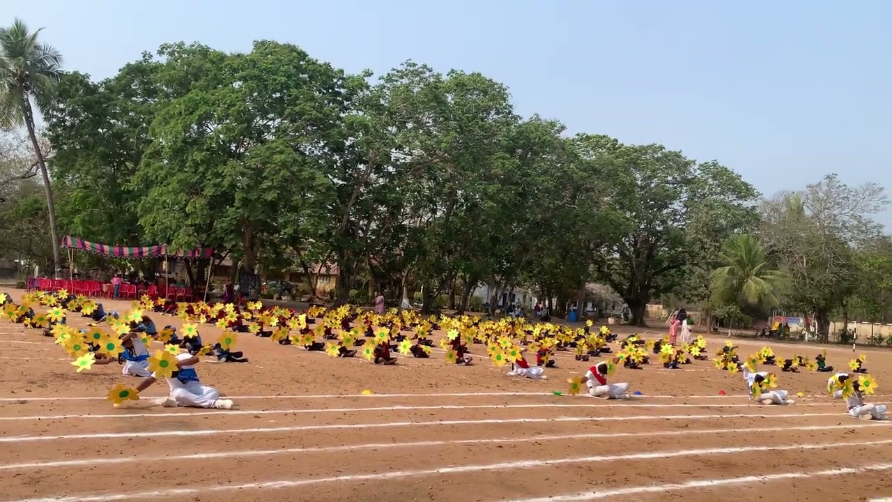 Sunflower drill by pereira’s English medium school chirala #youtube must watch 