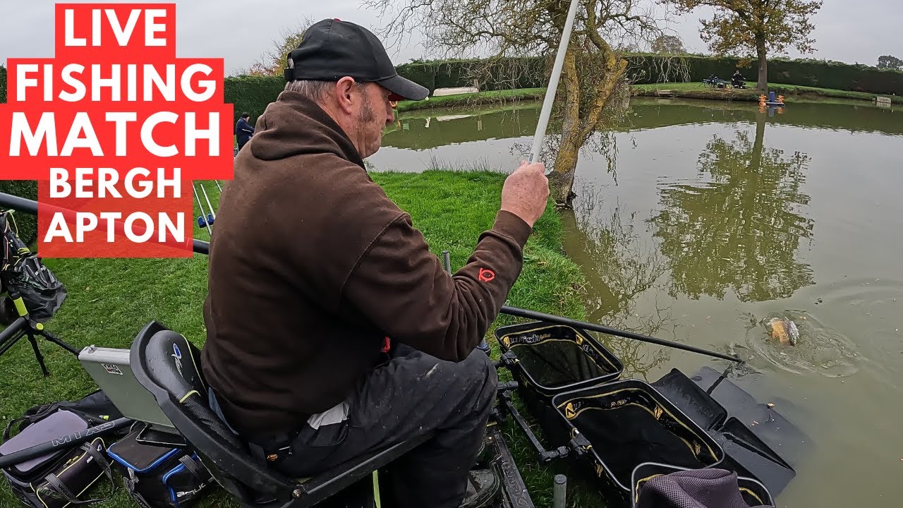 Live Fishing Match Bergh Apton lake  #matchfishinguk