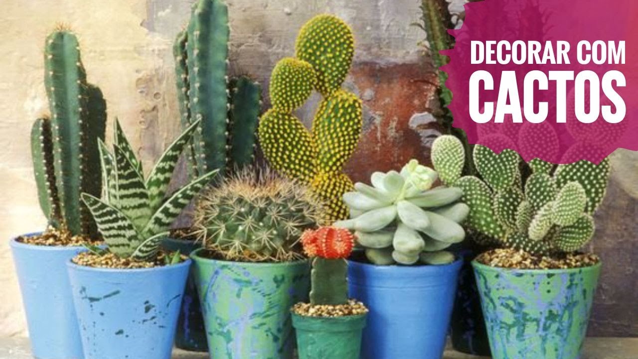 🌵 Como decorar usando cactos 🌵 - SIMPLICHIQUE