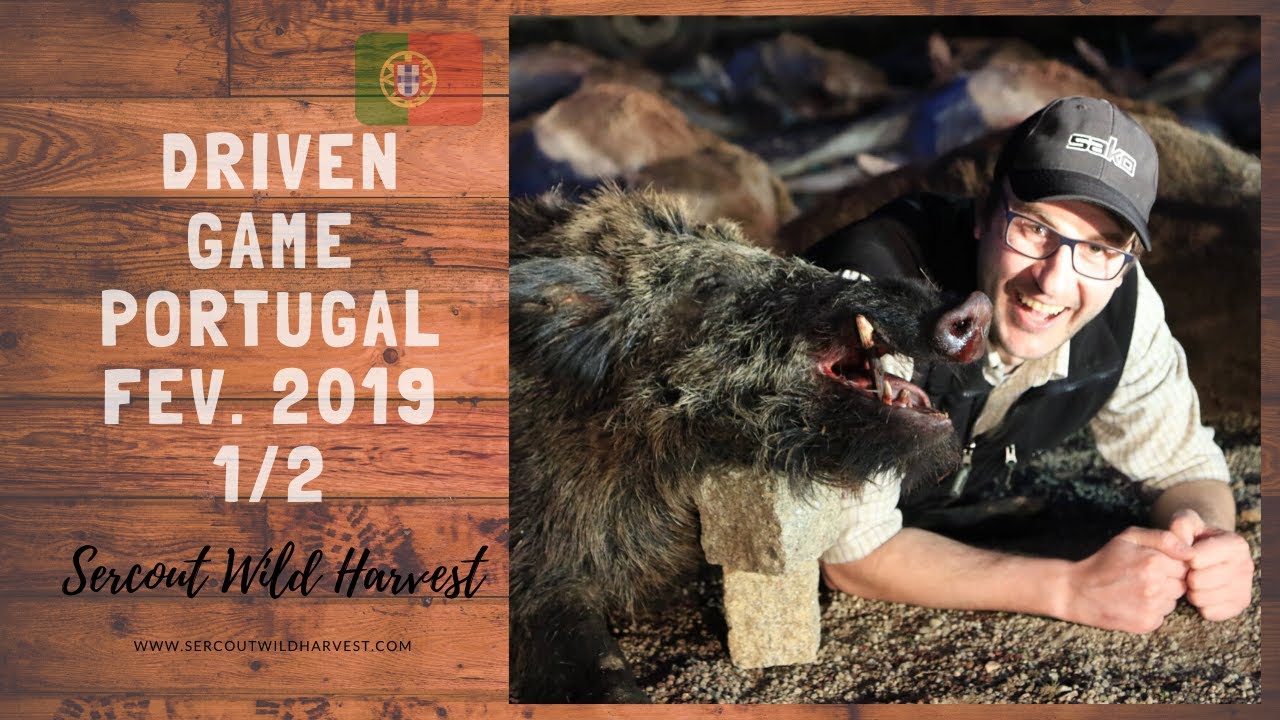 Hunting in Portugal- Montaria 8-9/02/19