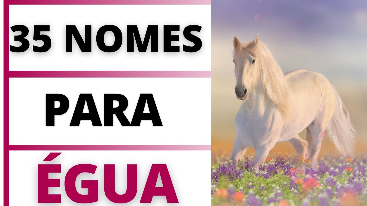 NOMES LINDOS PARA ÉGUA