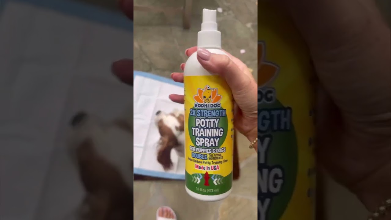 Feature Friday - A pet parent MUST-HAVE!!