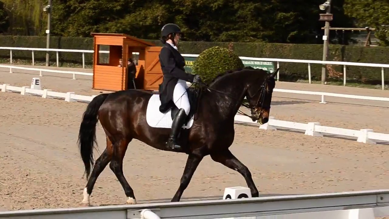 Cécile & Denis - Dressage reprise A6 Saint Georges