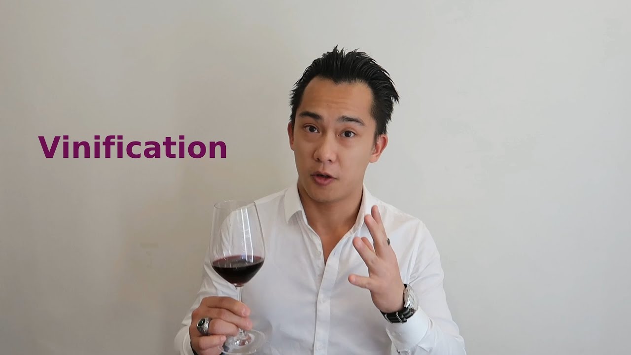 01 - Vinification (How Wine Is Made)