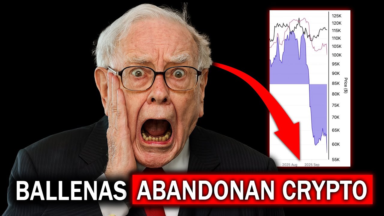 BALLENAS HUYEN de CRYPTO y provocan un COLAPSO en el MERCADO: &iquest;Se acab&oacute; el Bull Run?