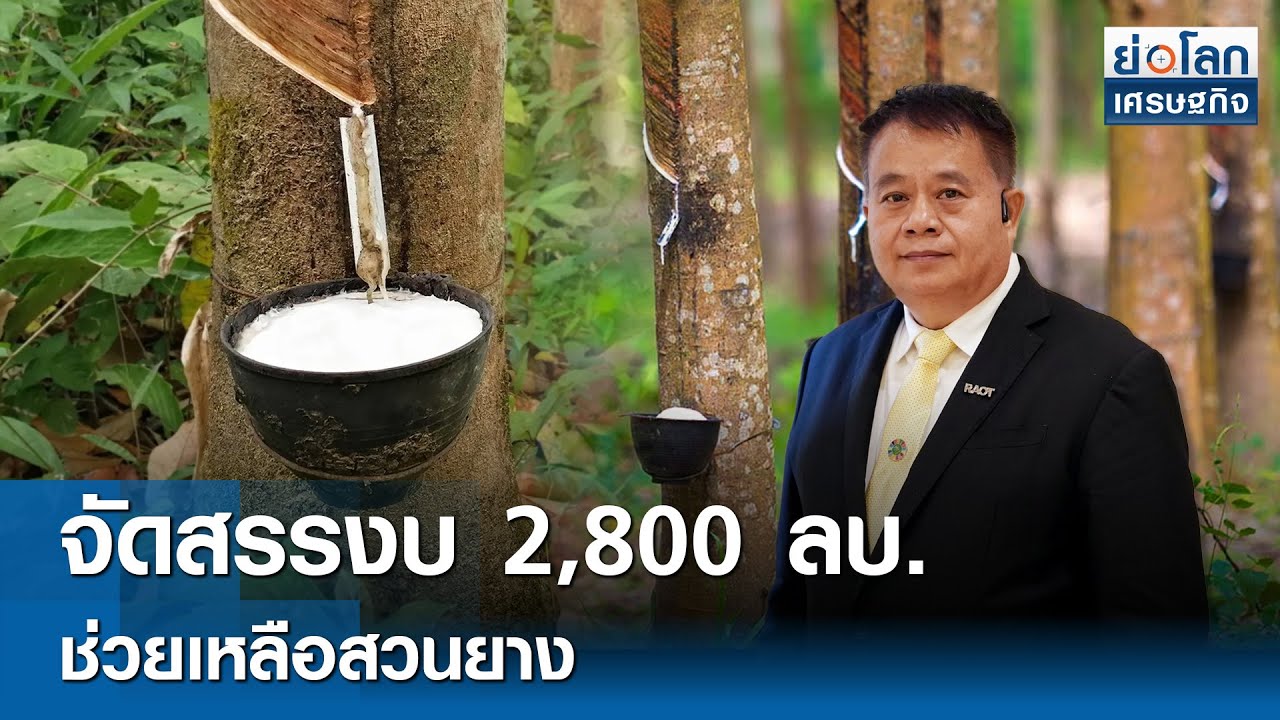 จัดสรรงบ 2,800 ลบ.ช่วยเหลือสวนยาง  | ย่อโลกเศรษฐกิจ 11 ก.ย.68